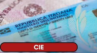 immagine dell'articolo