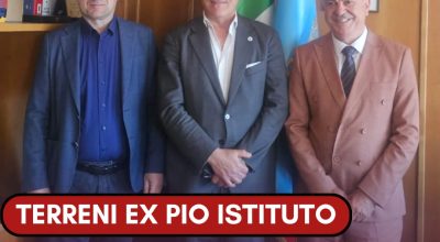 immagine dell'articolo