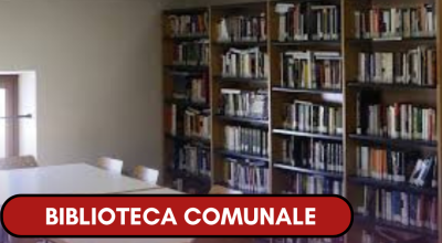 immagine dell'articolo