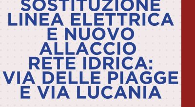 immagine dell'articolo