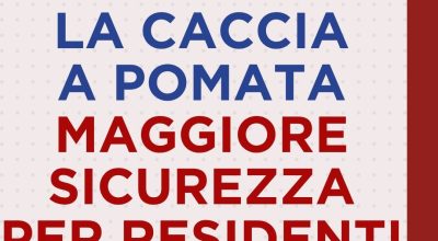 immagine dell'articolo