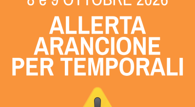 immagine dell'articolo