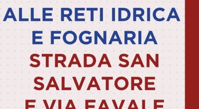 immagine dell'articolo