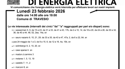 immagine dell'articolo