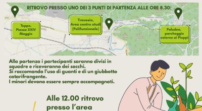 immagine dell'articolo