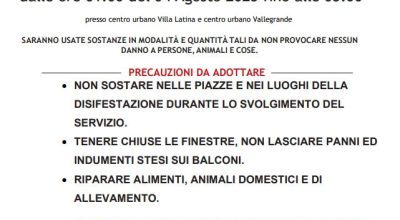 immagine dell'articolo