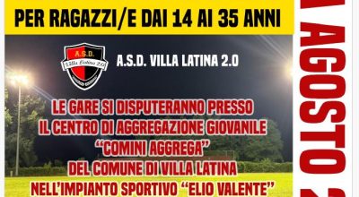 immagine dell'articolo