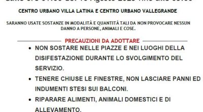 immagine dell'articolo