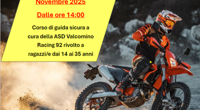 immagine dell'articolo