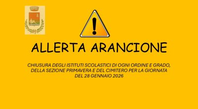 immagine dell'articolo