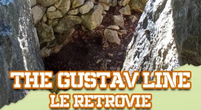 immagine dell'articolo