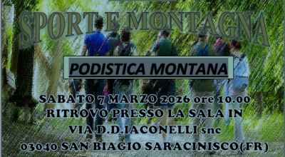 immagine dell'articolo