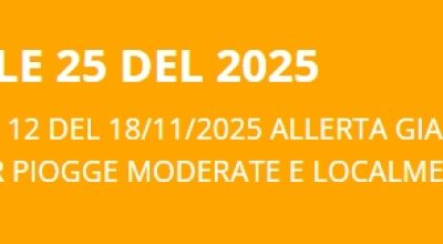 immagine dell'articolo