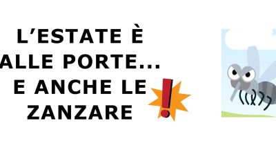 immagine dell'articolo
