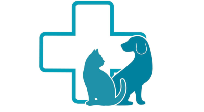 immagine dell'articolo