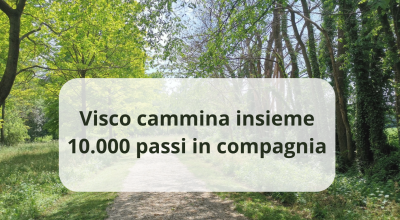 immagine dell'articolo