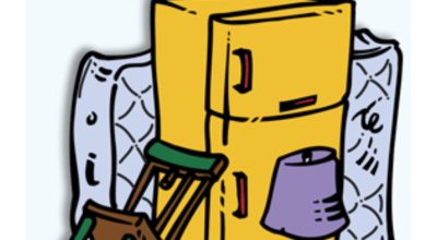 immagine dell'articolo